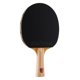thumbnail image 1 of Rendimiento del torneo de pádel de ping pong JOOLA Omega Control, 1 of 5