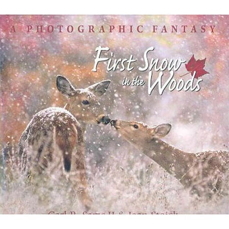 First Snow in the Woods: A Photographic Fantasy