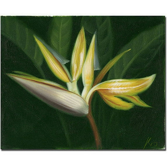 Trademark Fine Art "Lilies" Canvas Art