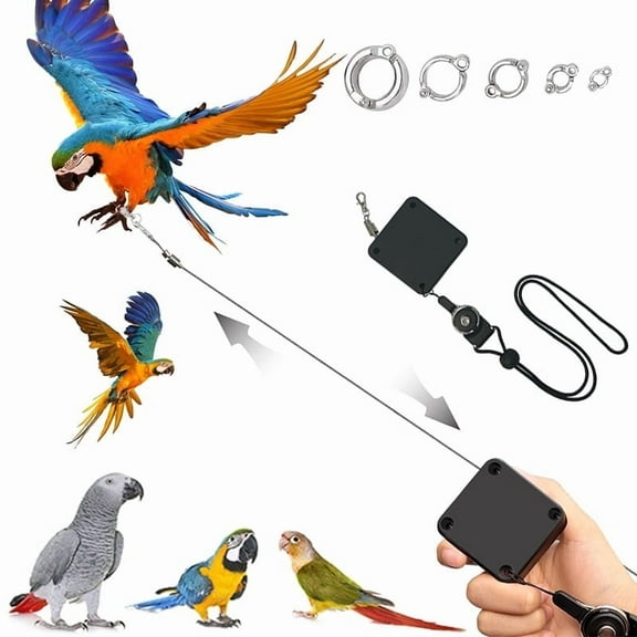 Parrot Harness Leash Extendable Bird Traction Rope Bird Leash With 5pcs Alloy Foot Rings