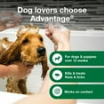 thumbnail image 6 of Advantage Dog Flea & Tick Shampoo for Puppies & Adult Dogs, Kills Fleas & Ticks, 8 oz., 6 of 7