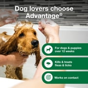 Advantage Dog Flea & Tick Shampoo for Puppies & Adult Dogs, Kills Fleas & Ticks, 8 oz.