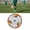 Yellow, variant on YAHHU Size 5 Rubber Soccer Ball Machine Sewn Craft Outdoor Training Sports Equipment for Youth and Adults Practice Match Play, Blue, 8.6 inches / 22 cm