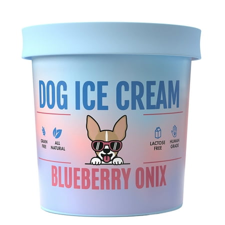 Healthy Dog Ice Cream Mix - Blueberry Flavored Dog Treat