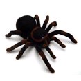 thumbnail image 2 of Rc Spider Toy Huge Rc Spider Vehicle Car Electric Toy, 2 of 4