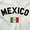 White, variant on Mexico Country Flag Soccer Fan Pride Unisex Plus Fleece Graphic Hoodie Brisco Brands 4X