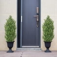 thumbnail image 4 of Poetree 2 Pack 3FT Topiary Artificial Faux Cedar Tree Plant Potted Indoor or Outdoor UV Protection Plastic Tree, 4 of 13