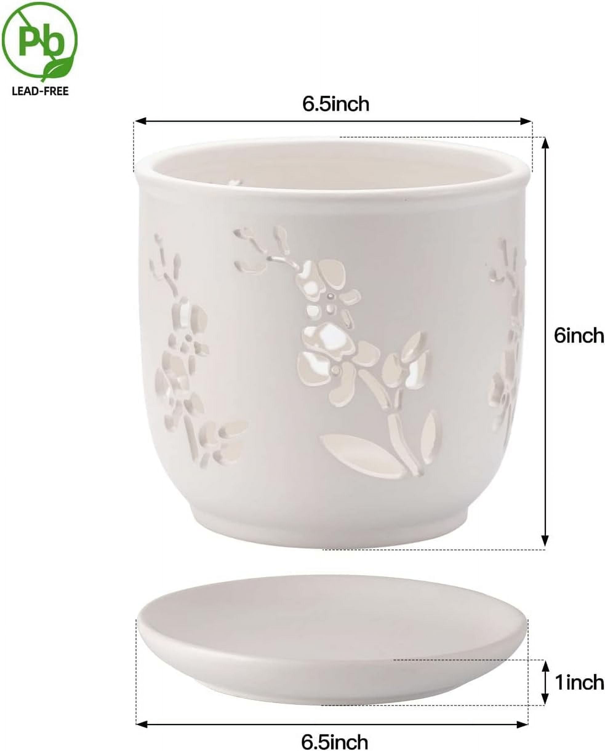 Orchid Pot, 6.5 inch Large Orchid Pots with Holes for Healthy Growth and Easy Repotting, Premium Ceramic Orchid Planter for Indoor and Outdoor Use, Perfect Home for Your Orchids to Thrive