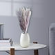 thumbnail image 3 of 15 piezas de hierba seca Artificial, ramo de caña de fragmitas para jarrón, para decoración Bohemia, , sala de , boda Colco hierba de pampa seca, 3 of 7