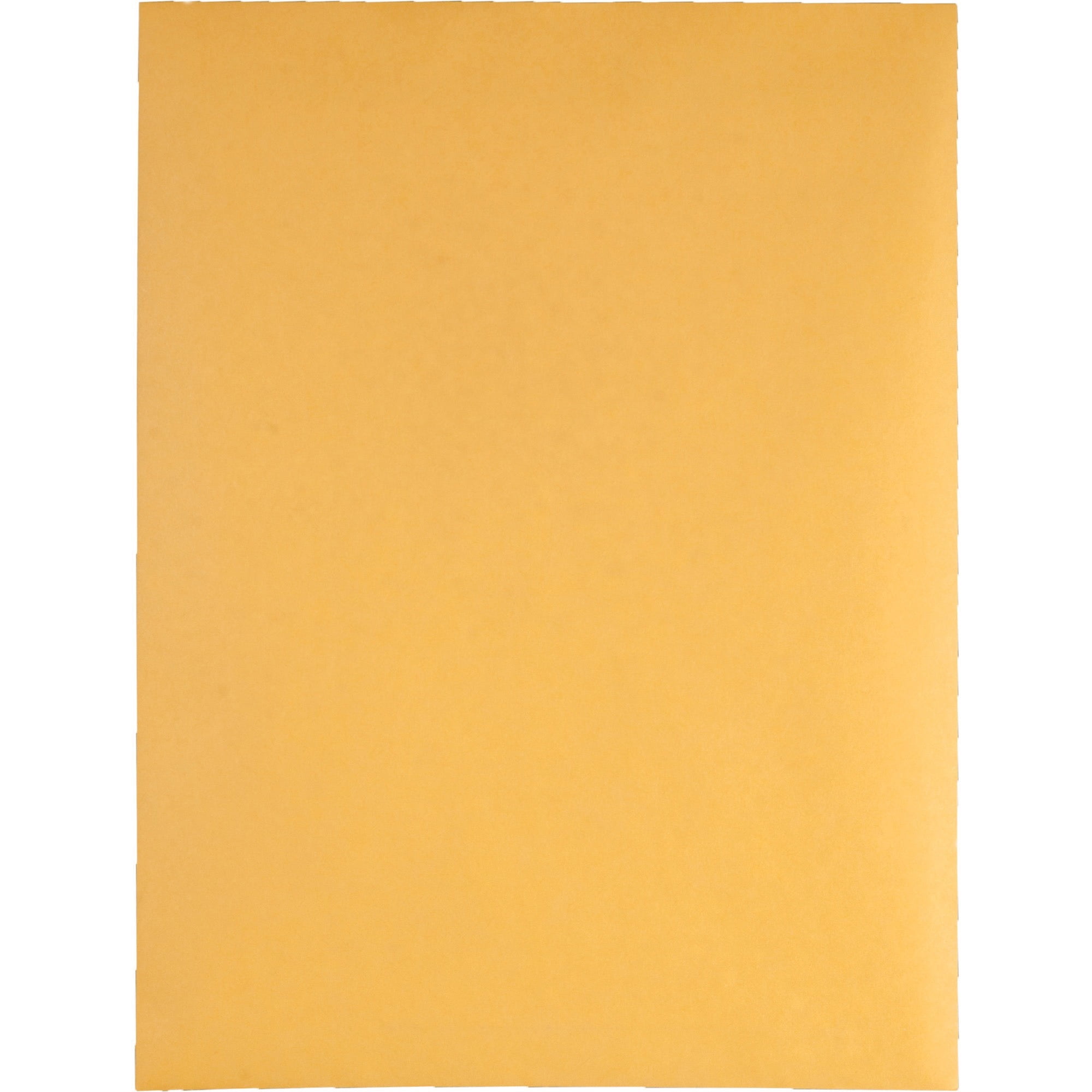 Quality Park Redi-Strip Kraft Catalog Envelopes Catalog - #10 Size, Self-Sealing Closure, Kraft, 100 / Box