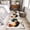 Multicolor, variant on Farmhouse Rooster Runner Rug 2x6 FT,Non Slip Hallway Rugs,Vintage Farm Animals Green Red Washable Soft Floor Carpet Non-Shedding Throw Runner Carpet Long Rug for Entryway Kitchen Bedside Sliding Door