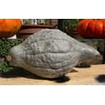 thumbnail image 1 of 30 Graines de Courge Bleue HUBBARD Nouvelle-Angleterre Buttercup Cucurbita Pepo Légumes, 1 of 10