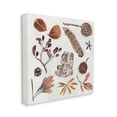 thumbnail image 3 of Stupell Industries Brown Seed Leaf Nut Botanicals Nature , 17 x 17, Design by Melissa Wang, 3 of 5