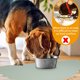 thumbnail image 4 of Estera de alimentación de silicona para mascotas, mantel individual para perros y gatos, esteras impermeables antideslizantes para cuencos para mascotas, 4 of 6