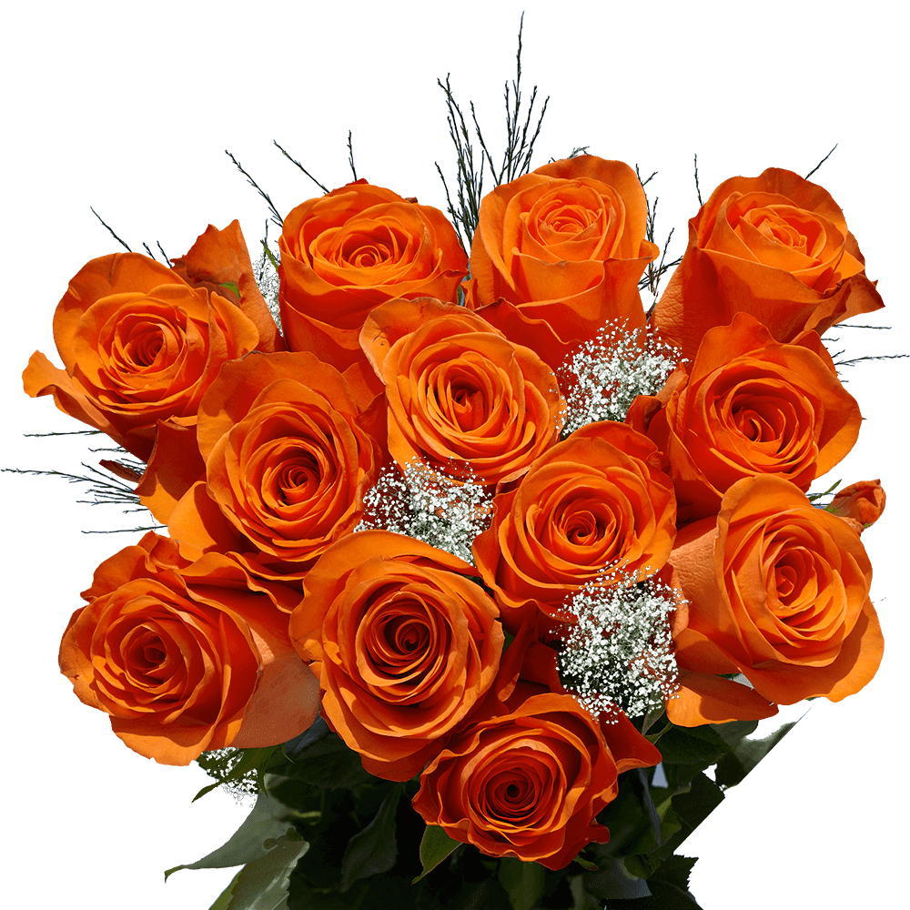 One Dozen Orange Roses With Baby S Breath And Green Fresh Flower Delivery Walmart Com Walmart Com