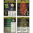 thumbnail image 1 of Dna & Heredy Ensemble de Posters, 1 of 1