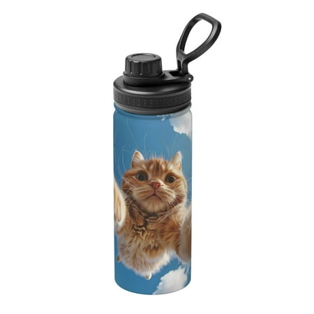 

Noikeo Playful Cat Fisheye View for 18oz Insulated Water Bottle Stainless Steel Sports Water Cup Flask with Spout and Handle Lid for Sports Travel Car And School