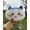 Hachiware 28x20cm, variant on Cute Chiikawa Plush Pillow Anime Doll Funny Kawaii Car Sofa Bed Hug Decor Soft Toy Birthday Xmas Gift