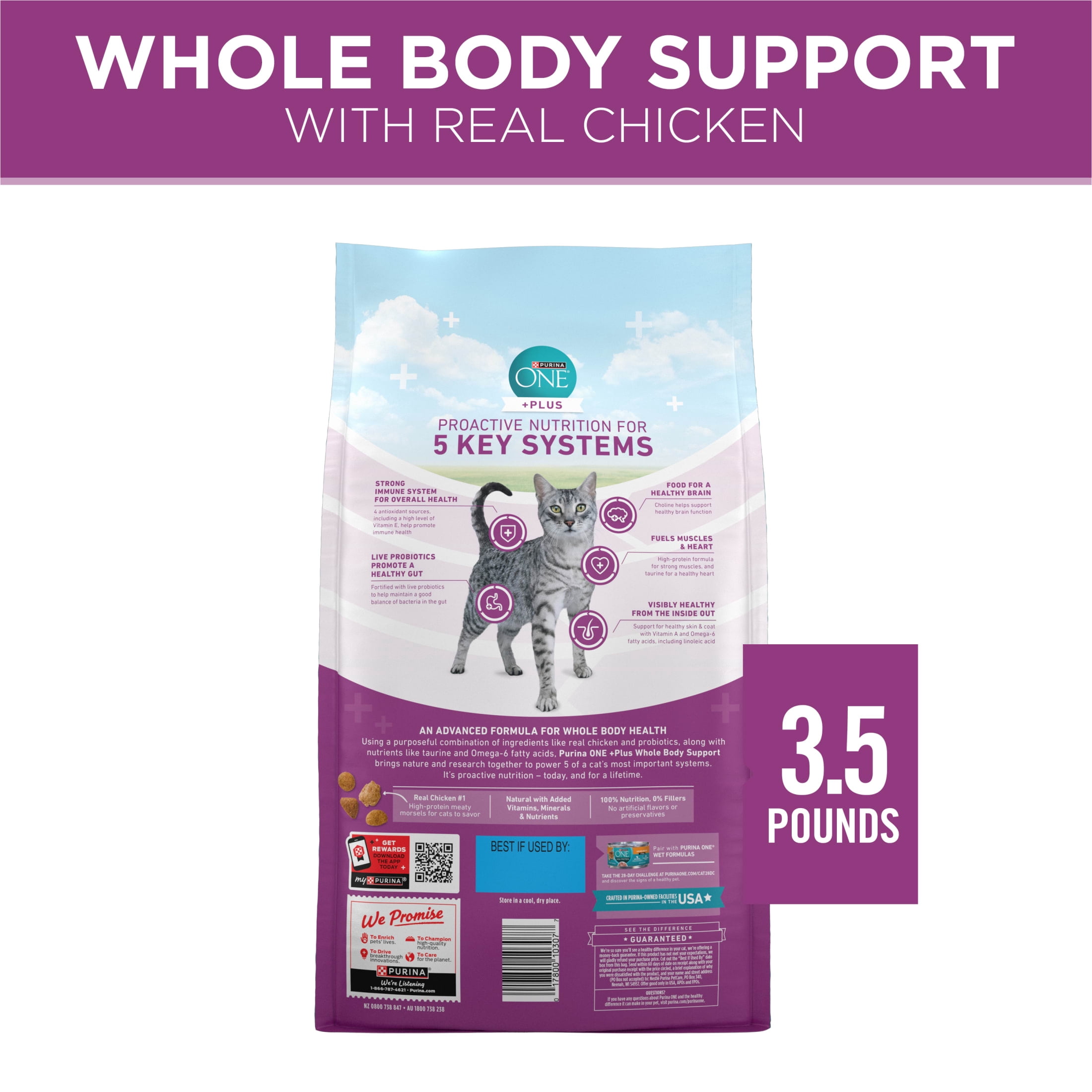 Purina ONE Plus Whole Body Support With Chicken Dry Cat Food, 3.5 lb.