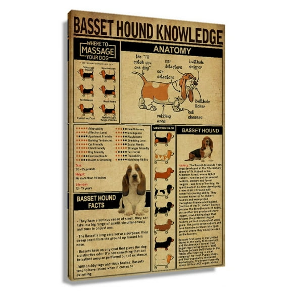 Basset Hound Dog Wall Art Knowledge Poster Educational Wall Art Infographic Poster for Bedroom Artwork Decor Painting Canvas Photo Prints Vertical Unframed 12×18 in