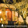 thumbnail image 2 of 100 luces de cadena LED, luces de cadena para interiores y exteriores 8 modelos de luces de cadena funcionan con enchufe impermeable IP44-EU, que se utiliza para decoraciones de árboles, Navidad y bo JAMW Sencillez, 2 of 5