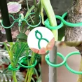 thumbnail image 2 of 100-1000 Uds horticultura 8 figura-ocho hebilla planta de plástico vinculante brida para cables fija abrazadera fija multifuncional anillo de elevación, 2 of 5