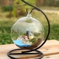 thumbnail image 3 of 2Pcs Mini Transparent Glass Vase Hanging Micro Landscape Ecological Bottle Handicraft Decoration (not Include Plants), 3 of 7
