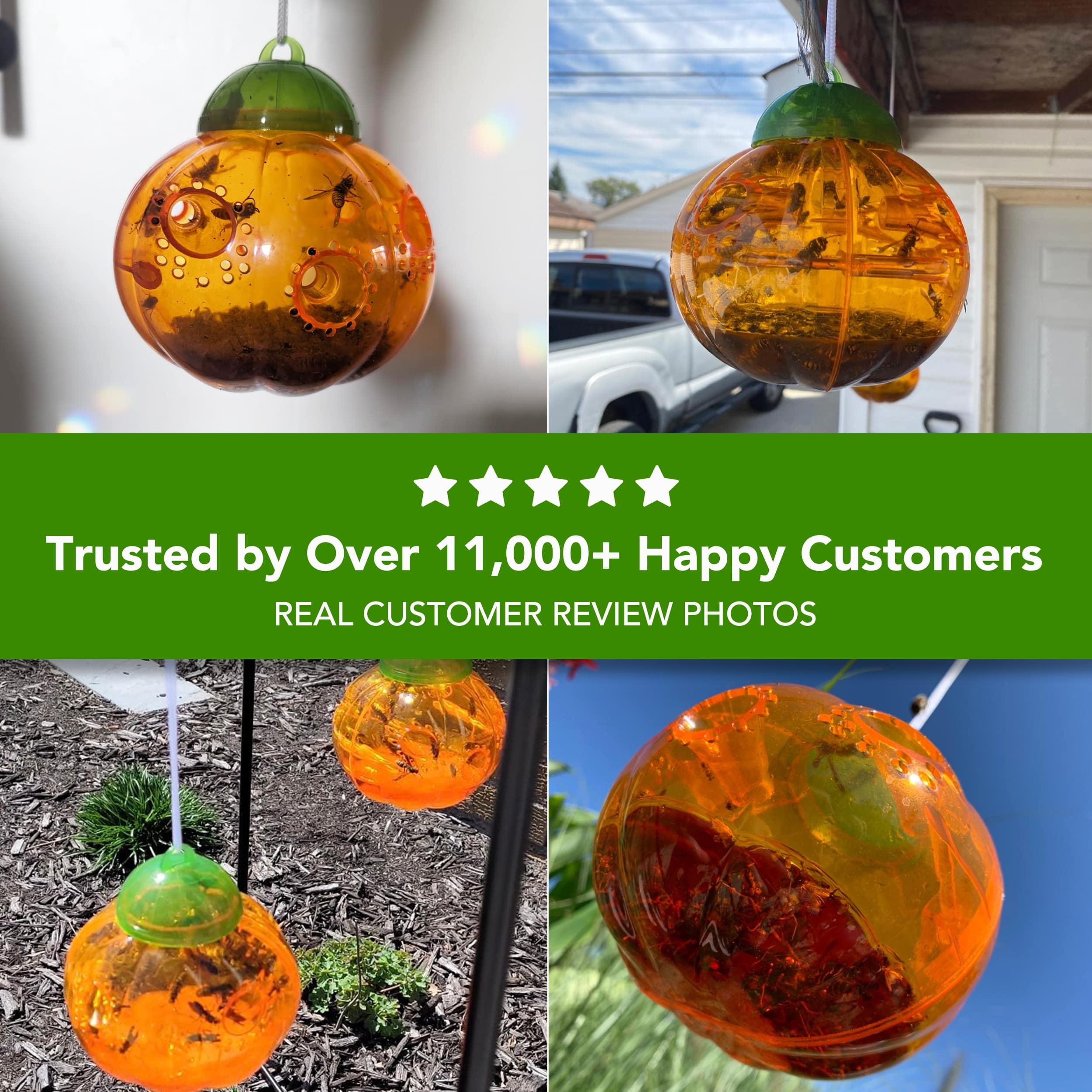 Aspectek Wasp Trap - Wasp Trap Catcher, Bee Trap, Outdoor Wasp Deterrent Killer Insect Catcher Honeybee Trap