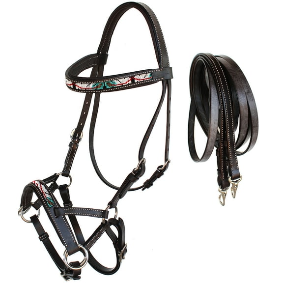 Horse Western Padded Leather Beaded Bitless Sidepull Bridle 77RT18BR-F