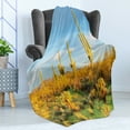 thumbnail image 4 of Saguaro Soft Flannel Fleece Blanket, Sun Bath in Sonoran Desert Blooming Cactus Spring Time Vegetation Scenery, Cozy Plush for Indoor and Outdoor Use, 50" x 70", Marigold Blue Green, by Ambesonne, 4 of 5