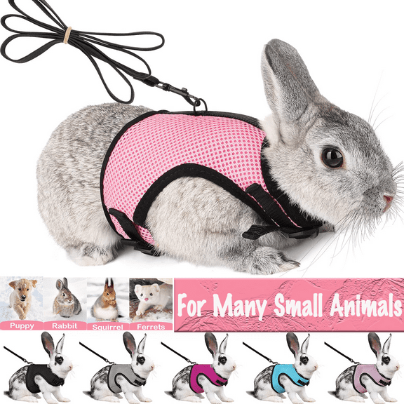 Bunny Rabbit Harness with Leash Cute Adjustable Buckle Breathable Mesh Vest for Kitten Puppy Small Pets Animal Walking Accessories
