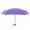 Purple, variant on VerPetridure Mini Pocket Compact Umbrella Sun Anti UV 5 Folding Rain Windproof Travel