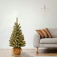 thumbnail image 3 of National Tree Company 3 ft. Snowy Concolor Fir Tree with LED Lights, 3 of 5