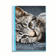 thumbnail image 1 of Cat Stripes Kitty Animal Relax Adorable Book Sheet Protectors Portfolio Binder Folder, 1 of 3