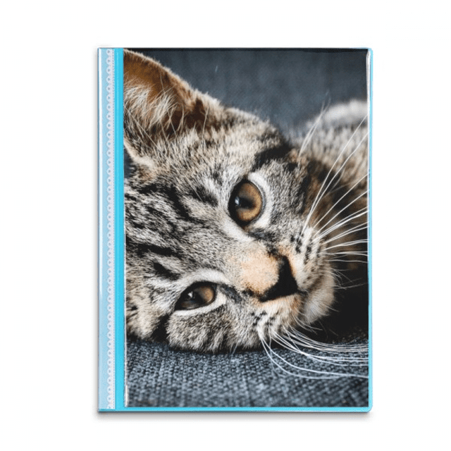 Cat Stripes Kitty Animal Relax Adorable Book Sheet Protectors Portfolio Binder Folder