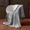 thumbnail image 1 of Heated Blanket Electric Throw 50” x 60” -Heated Throw Blanket with 5 Heating Levels & 3 Hours Auto Off Machine Washable Over-Heat Protect（Racoon）, 1 of 7