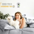 thumbnail image 6 of Kingsley trend 3 Piece Twin Size Comforter Set w/ 2 Envelope Pillow Shams, Box Stitched Grey Twin Bedding Set, Cationic Dyeing, Jacquard Line, All Season Down Alternative, Twin 66x90, 6 of 7