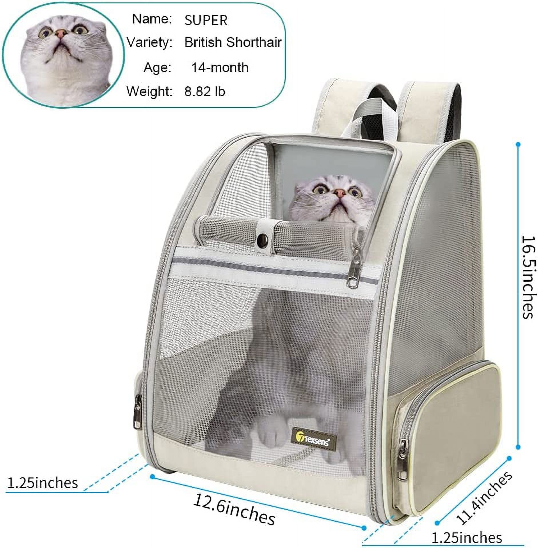Pet Carrier Backpack with Window Blind for Small Cats Dogs, Ventilated Design, Safety Straps, Buckle Support, Collapsible, Designed for Travel, Hiking, Winter Outing, Outdoor, Go to Vet