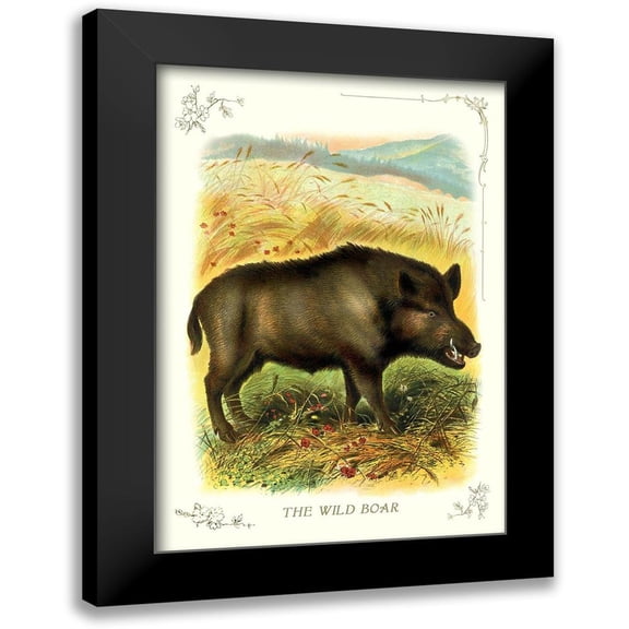 Unknown 11x14 Black Modern Framed Museum Art Print Titled - The Wild Boar, 1900