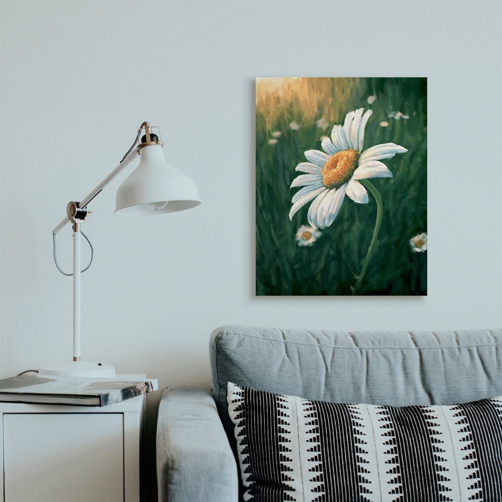 Stupell Industries Daisy Details in Field of Spring Flowers Designed by Ziwei Li