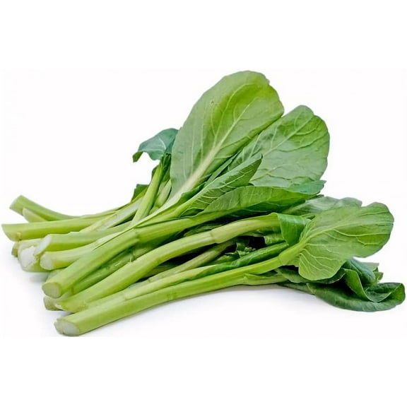 100  Yu Choy Sum Seeds - Jung Green - Vegetable Seeds for Planting Outdoor Home Gardens | Planting Instructions Included
