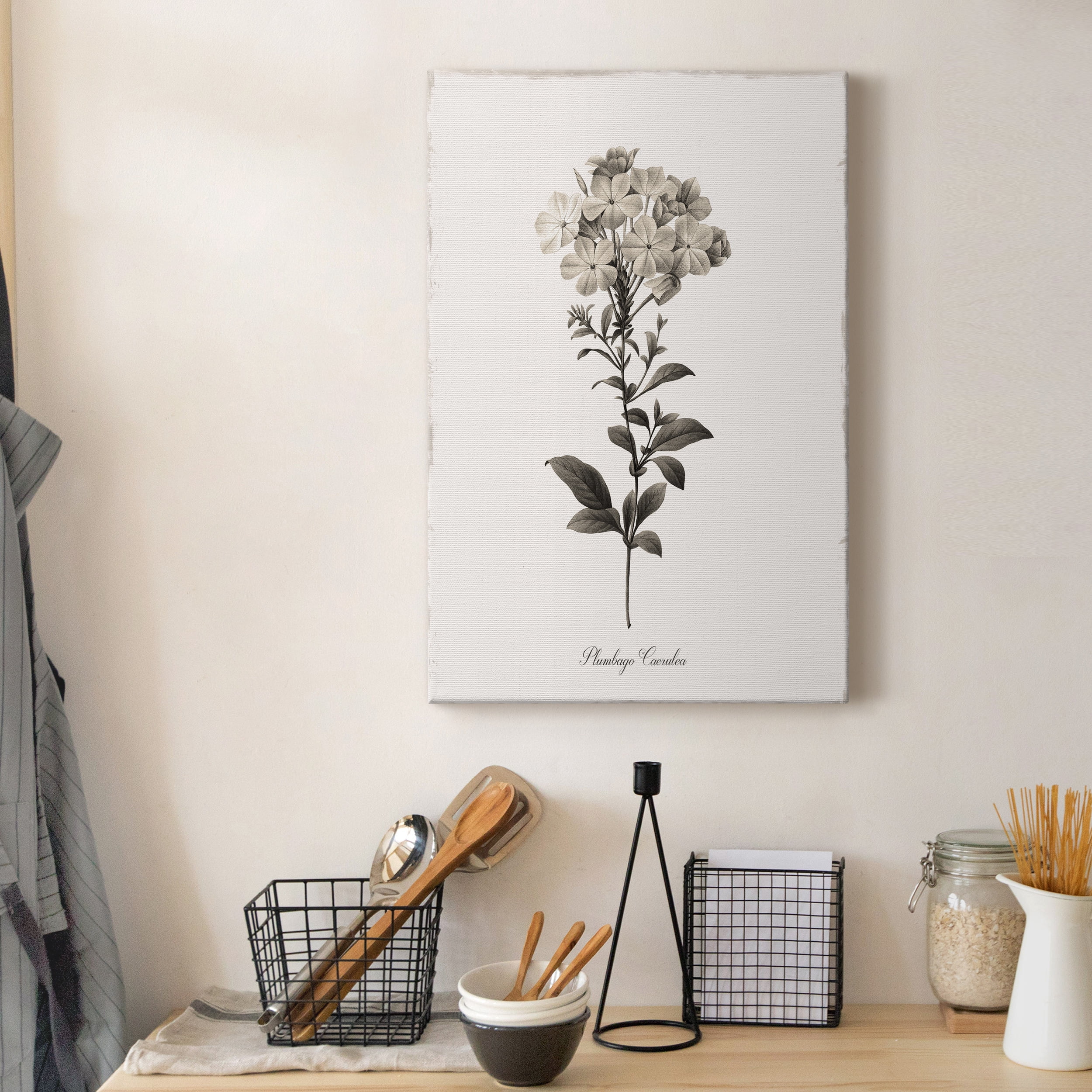 Sketchbook Leadwort Premium Gallery Wrapped Canvas - Ready to Hang - 40 x 60