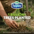 thumbnail image 4 of Royale Velour, 3 Ply Facial Tissue, 6 Flat Boxes, 82 Tissues per Box, 492 tissues per pack, 4 of 4