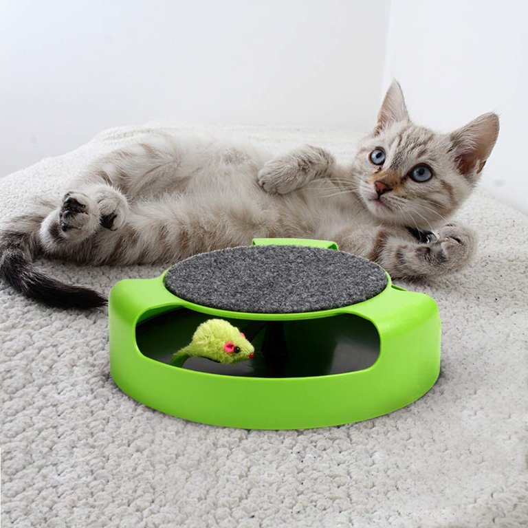 Interactive Cat Toys: How to Keep Your Cat Entertained