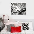thumbnail image 4 of MLJA Black and White Wall Art Abstract Large Modern Oil Painting on Canvas Hand Painted Textured Tree Artwork Contemporary Art Home Decorations Wall Decor, 4 of 4