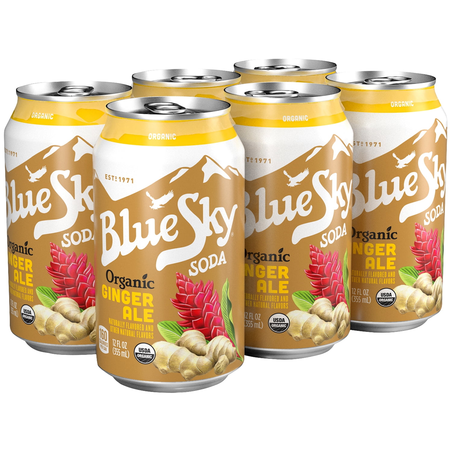 Blue Sky Organic Ginger Ale, 12 Fl. Oz., 6 Count