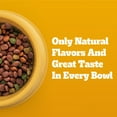 thumbnail image 5 of Pedigree Adult Dry Dog Food, Complete Nutrition, Grilled Steak & Vegetable Flavor, 18 lb. Bag, 5 of 11