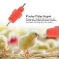 thumbnail image 4 of Poultry Waterer, Automatic Chicken Drinker Corrosion And Rust Resistant, Laying Hen For Chicken, 4 of 8