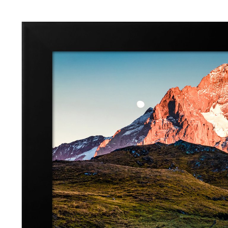 パームス frame FBVC602 パームス frame FBVC602 アングラーズリパブリック パームス フレイム