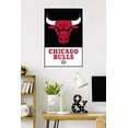 thumbnail image 3 of NBA Chicago Bulls - Logo 21, 3 of 4